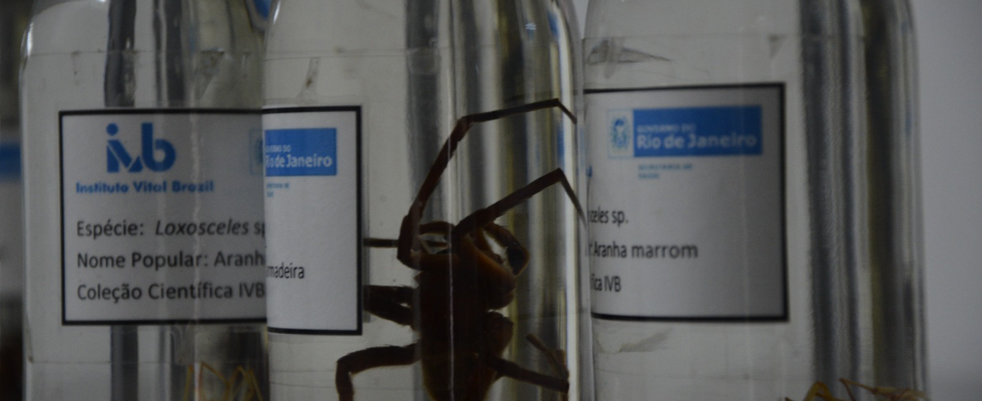 Taxonomia