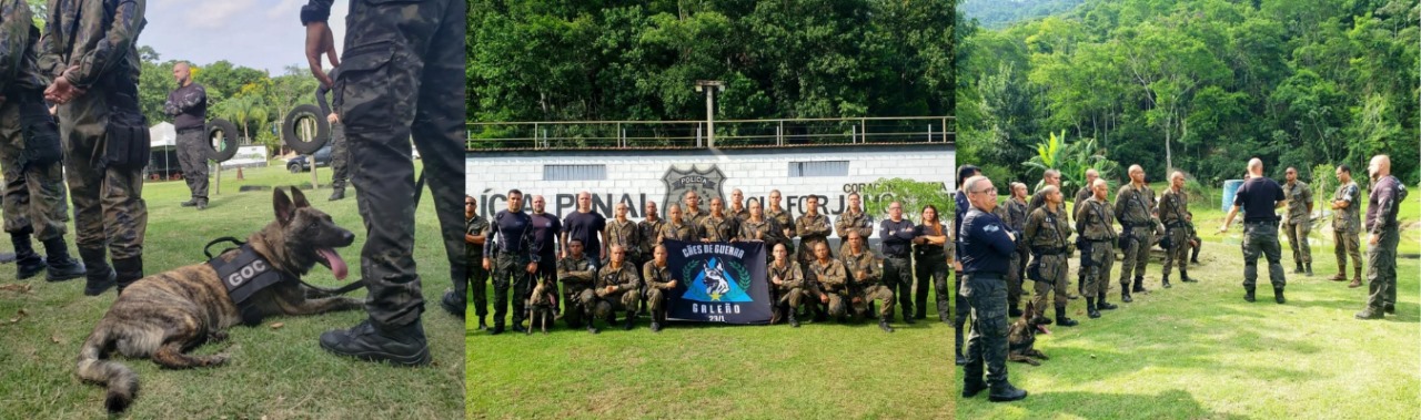 GOC e Aeronáutica realiza curso de Condutor de Cães de Guerra sobre a utilização de cães em ambiente carcerário e treinamento operacional