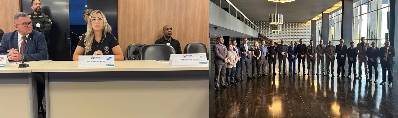 Seap participa da  8ª Reunião Ordinária do Consej em Brasília