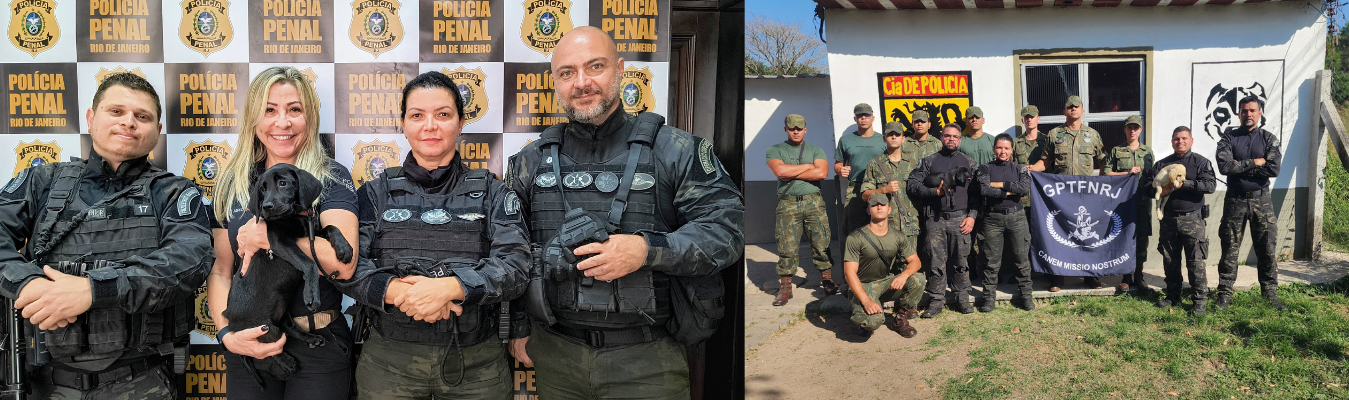 Grupamento de Operações com Cães da Seap ganha novo mascote