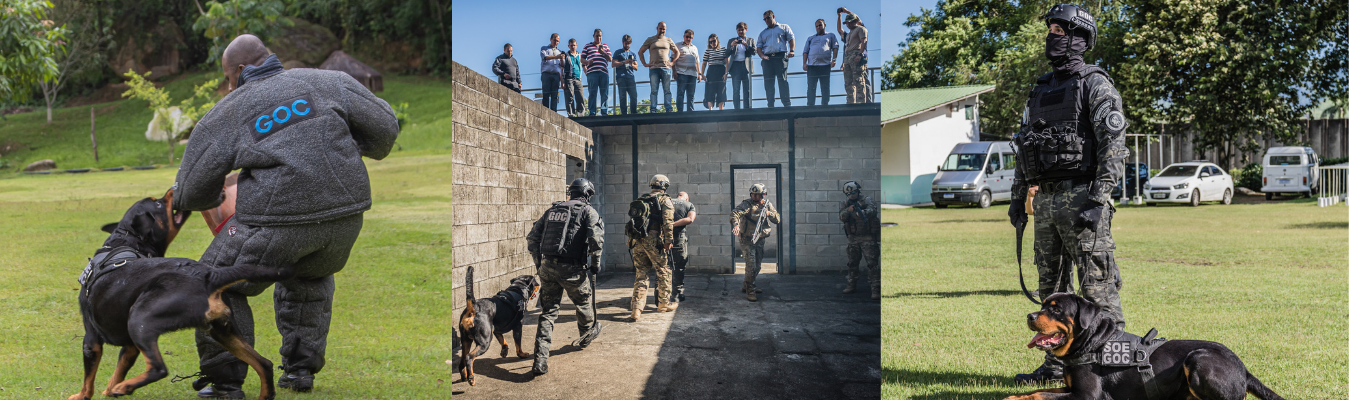 GOC ministra curso ao 11ª BPE