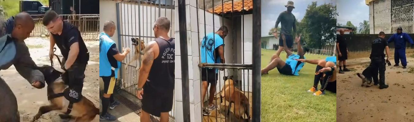 Seap realiza TAF do 2° Curso de Operações com Cães 