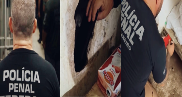 Seap e Senappen realizam 4ª fase da Operação Mute