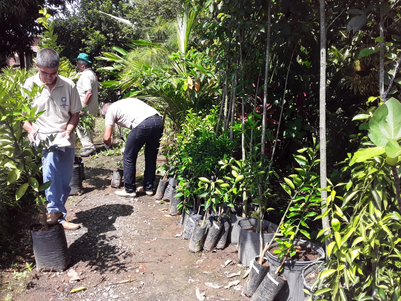 Defesa Sanitária Vegetal em ação