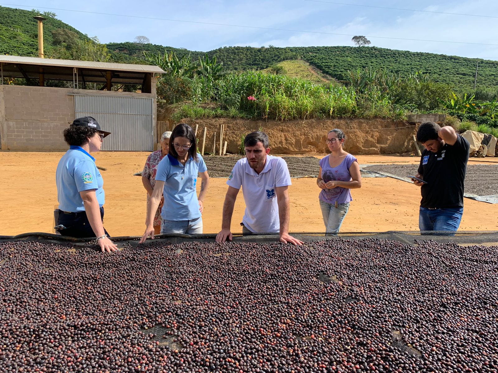 EMATER-RIO inaugura, na próxima segunda-feira, laboratório dedicado à qualidade do café, em Bom Jesus do Itabapoana