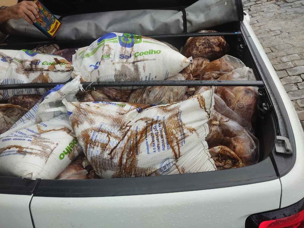 Defesa Agropecuária Estadual e Vigilância Sanitária de Campos apreendem mais de uma tonelada de carnes impróprias para consumo