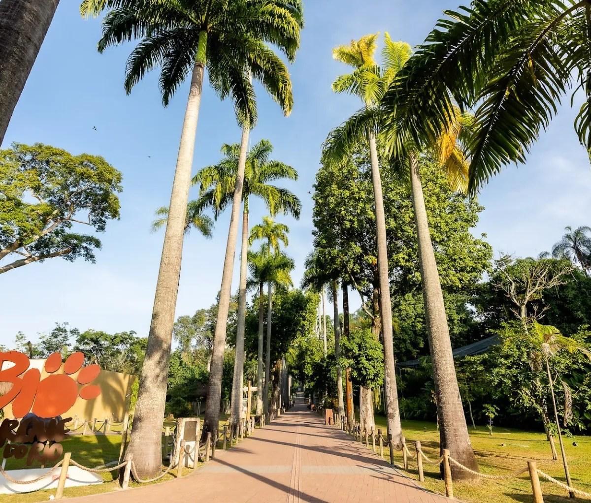 BioParque do Rio reabre com entrada gratuita para crianças e atividades educativas sobre a gripe aviária em parceria com a Defesa Agropecuária