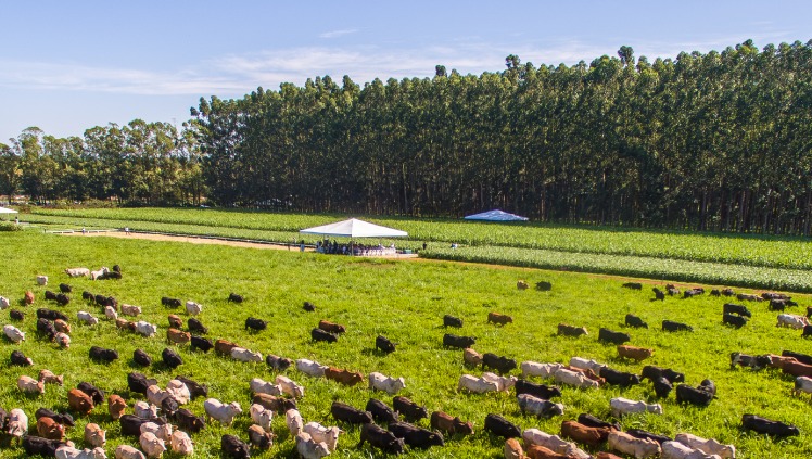 Secretaria de Estado de Agricultura do RJ e Rede ILPF assinam acordo para expansão do Sistema Integração-Lavoura-Pecuária-Floresta