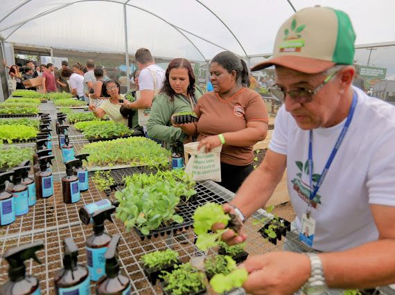 Governo do Estado leva 7° edição do Agricultura Social a Morro Grande, em Araruama