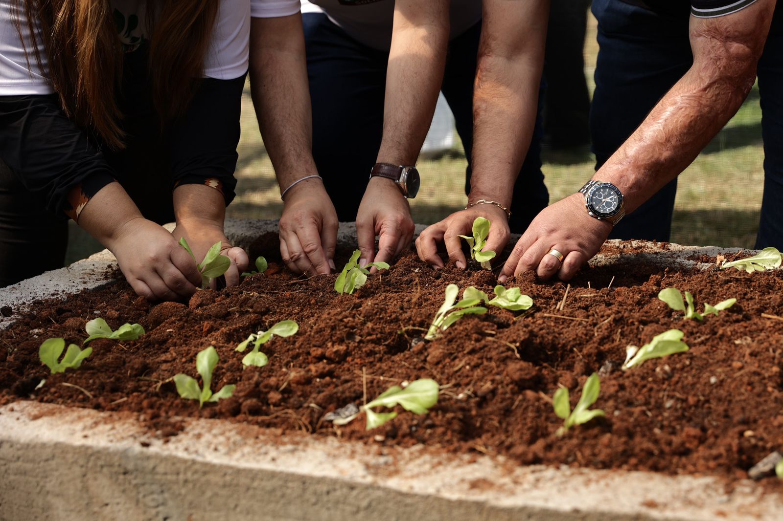 Governo do Estado promove 3ª edição do Projeto Agricultura Social em Italva 