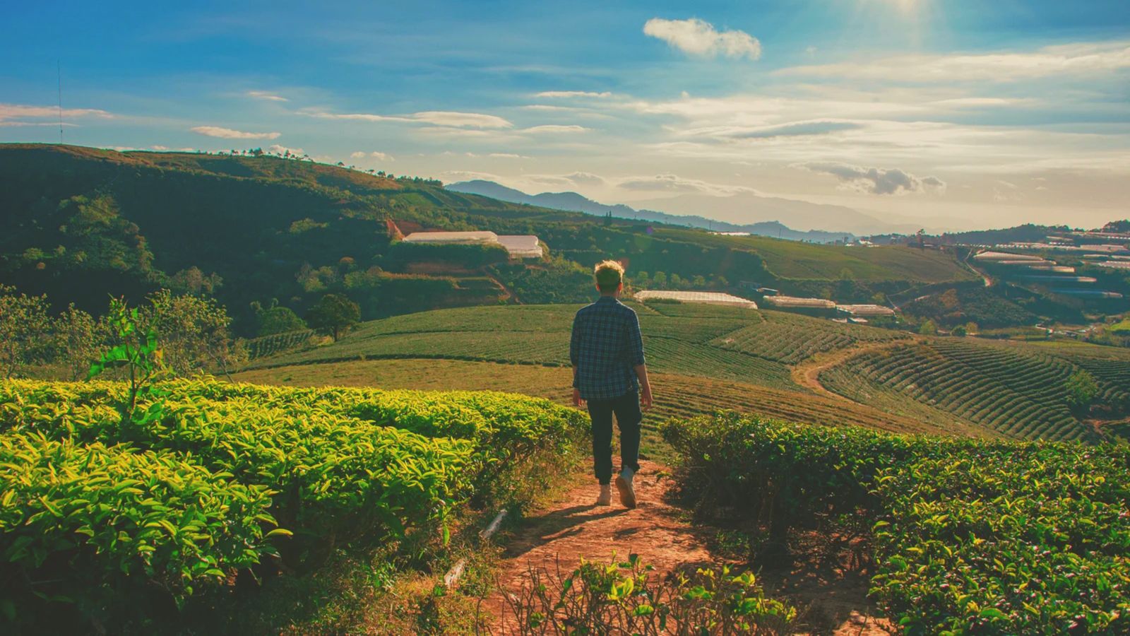 Secretaria de Agricultura participa das comemorações dos 91 anos do CREA-RJ com exposição de produtos de agroindústrias