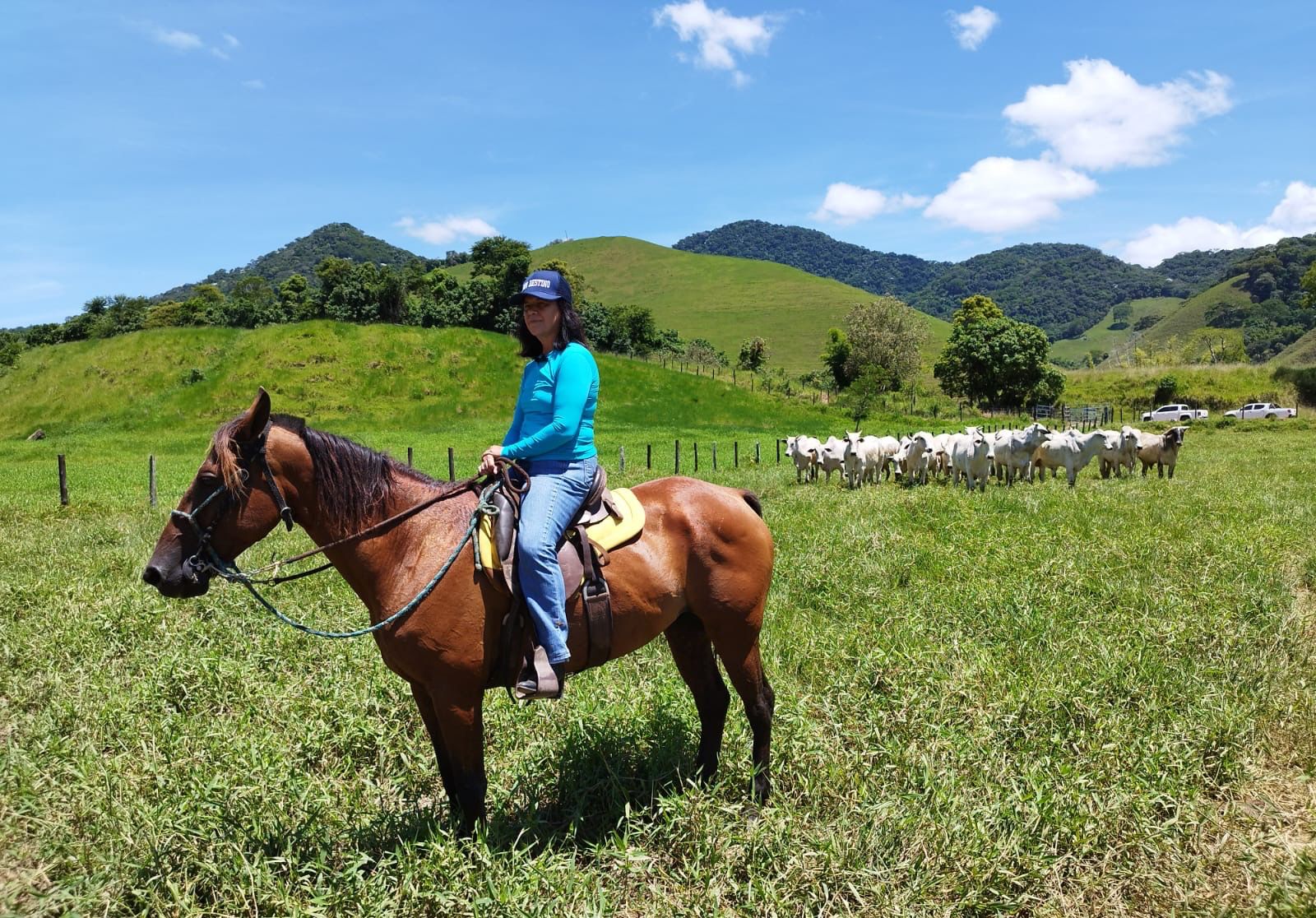 Secretaria de Estado de Agricultura celebra a força da mulher no campo