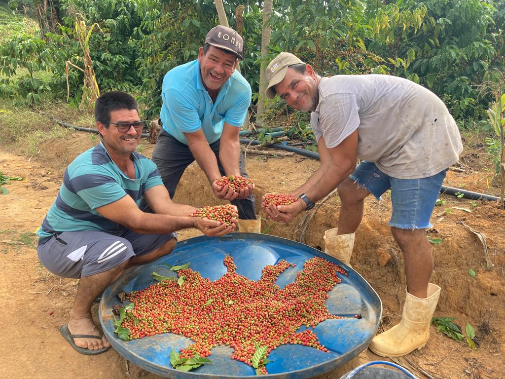 Governo do Rio terá espaço no Festival do Café promovendo incentivo à cafeicultura fluminense