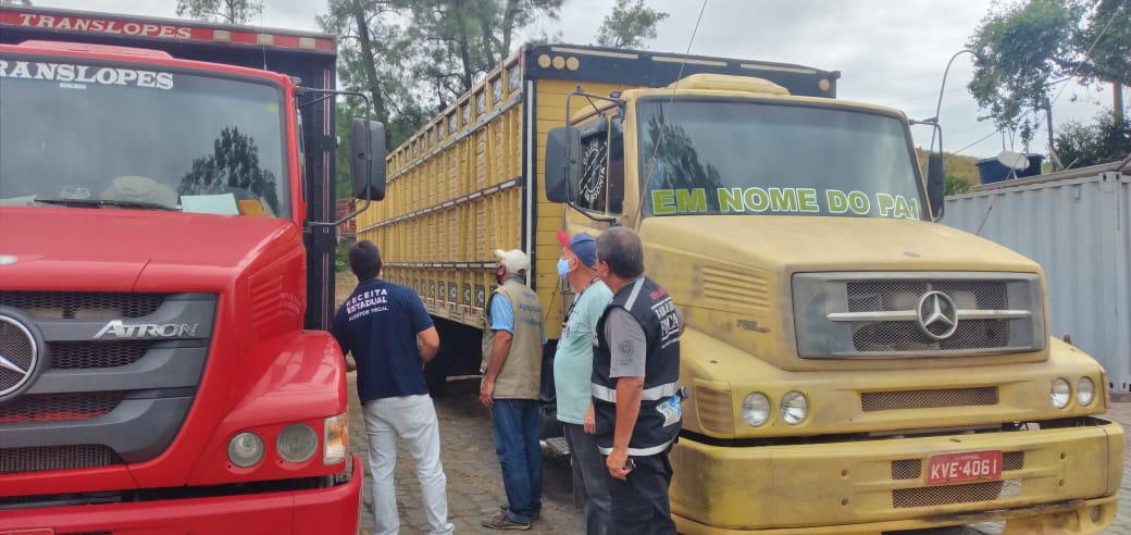 Secretarias de Estado de Agricultura e Fazenda fiscalizam transporte de gado vivo