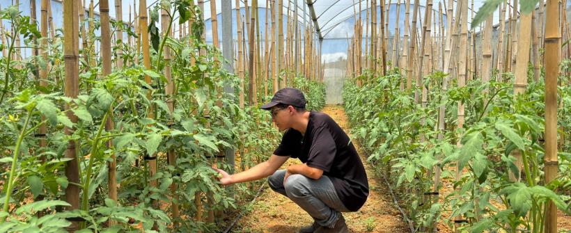 Programa Cultivar Orgânico impulsiona inovação, sustentabilidade e produtividade no campo fluminense
