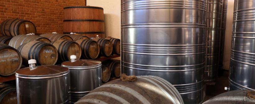 Rio de Janeiro celebra o Dia Nacional da Cachaça: um brinde aos produtores de cana-de-açúcar