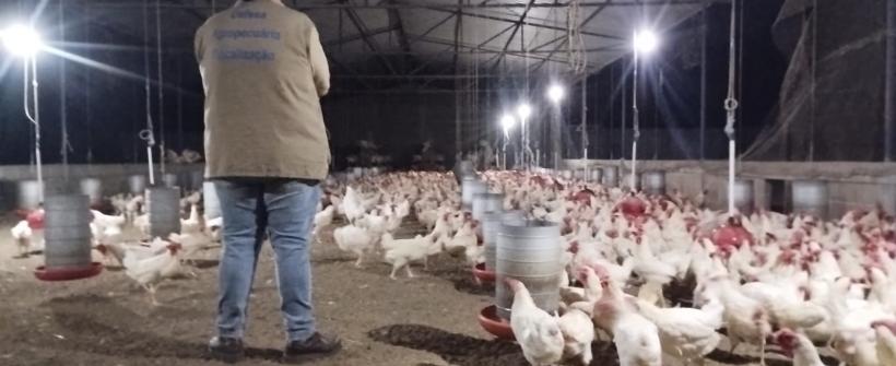 Secretaria de Agricultura realiza ação de fiscalização no Norte Fluminense 