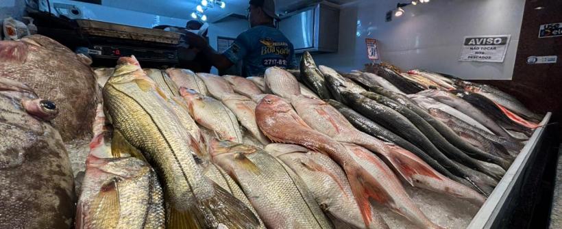 Governo do Estado reforça segurança no consumo de pescado na Páscoa