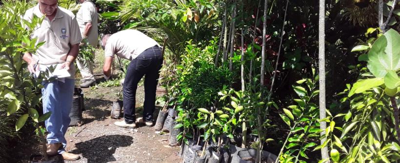 Defesa Sanitária Vegetal em ação