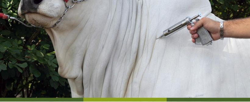  No mês da campanha contra febre aftosa, SENAR em parceria com a Secretaria de Agricultura e MAPA, lança minicurso sobre Sanidade Animal