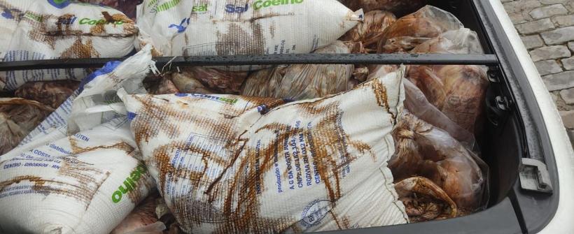 Defesa Agropecuária Estadual e Vigilância Sanitária de Campos apreendem mais de uma tonelada de carnes impróprias para consumo