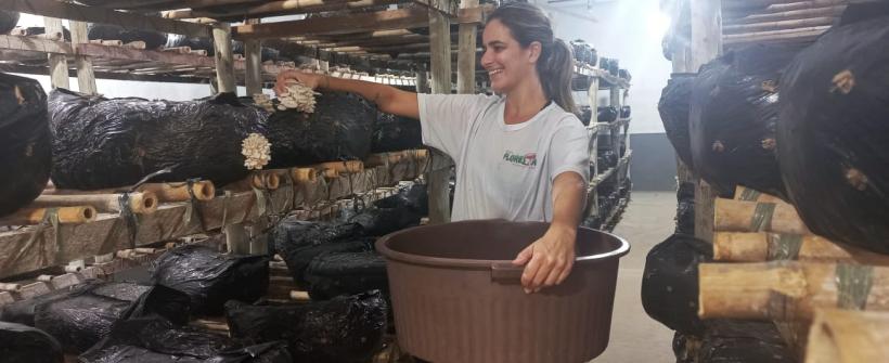 Dia das Mulheres: Agricultura celebra as conquistas e o protagonismo feminino no campo