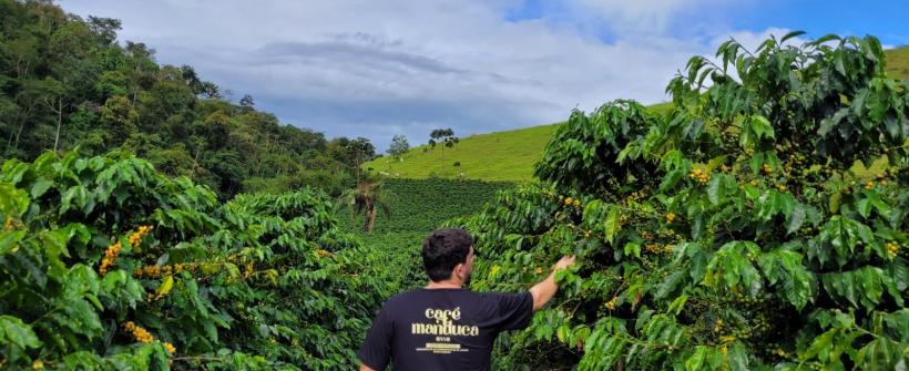 Dia Internacional do Café: Secretaria de Agricultura ressalta o trabalho dos produtores de café e as suas ações que impactam a produção fluminense