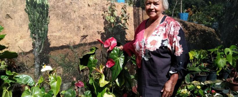 Dia das Mães: Governo do Rio impulsiona floricultura com programa de incentivo
