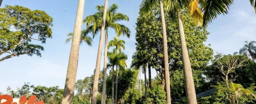 BioParque do Rio reabre com entrada gratuita para crianças e atividades educativas sobre a gripe aviária em parceria com a Defesa Agropecuária