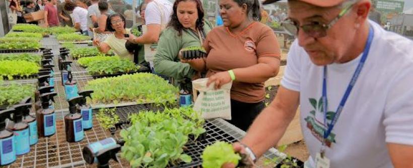 Governo do Estado leva 7° edição do Agricultura Social a Morro Grande, em Araruama