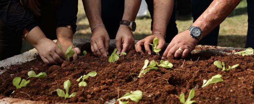 Governo do Estado promove 3ª edição do Projeto Agricultura Social em Italva 