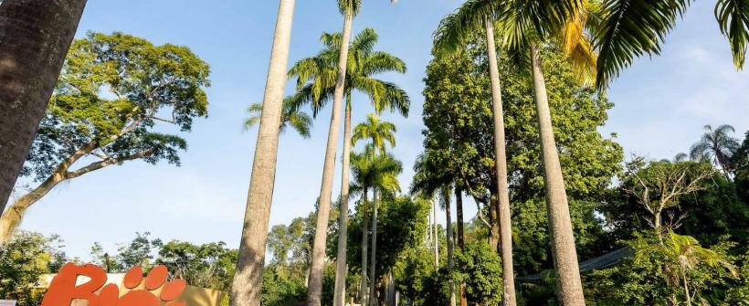 Governo do Estado confirma casos de Influenza Aviária em galinhas-d’Angola do BioParque do Rio