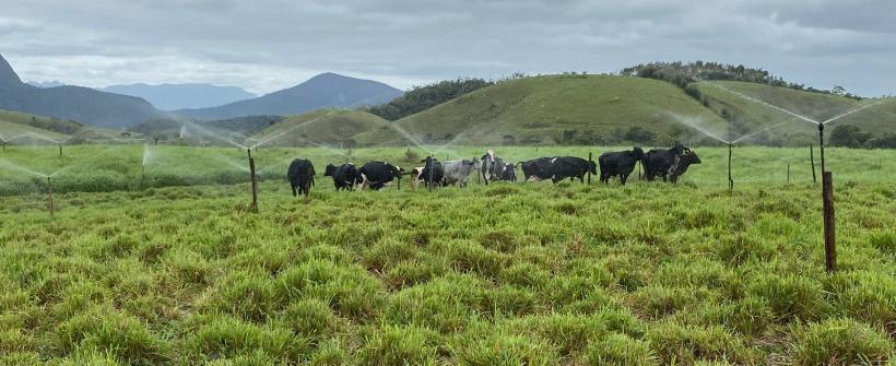 Secretaria de Agricultura comemora o Dia do Pecuarista