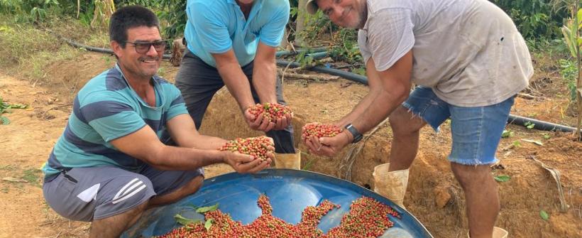 Governo do Rio terá espaço no Festival do Café promovendo incentivo à cafeicultura fluminense