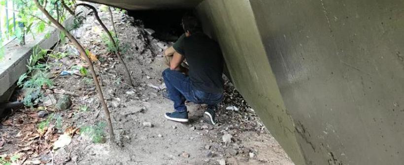 Secretaria de Agricultura e Polícia Civil localizam suspeito de abusar de cães na Zona Sul do RJ