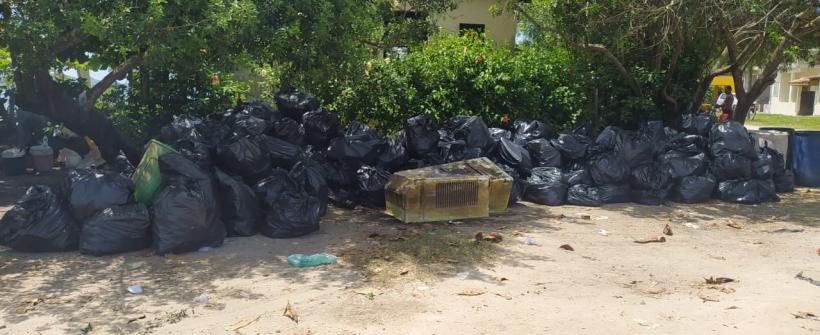 Águas da Guanabara: em um dia, pescadores recolhem 1 tonelada de lixo da Baía