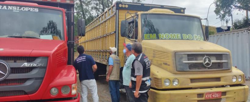 Secretarias de Estado de Agricultura e Fazenda fiscalizam transporte de gado vivo