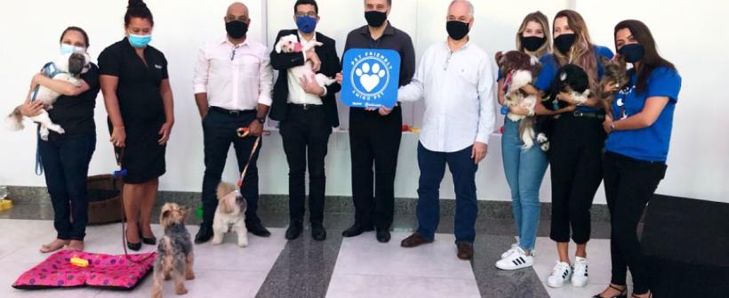 Cemitério do Rio ganha o inédito selo Pet Friendly