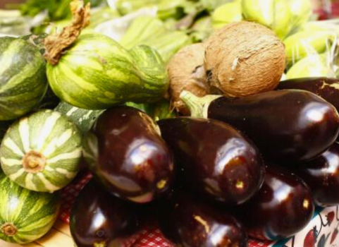 Cláudio Castro sancionou a Lei 10.543/24, que cria o Programa para a Aquisição de Alimentos da Agricultura Familiar, Pequenos Produtores e Pescadores Artesanais.