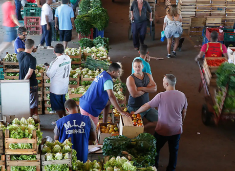 Ceasa de Irajá amplia horário de funcionamento e divulga expectativas para as vendas de fim de ano