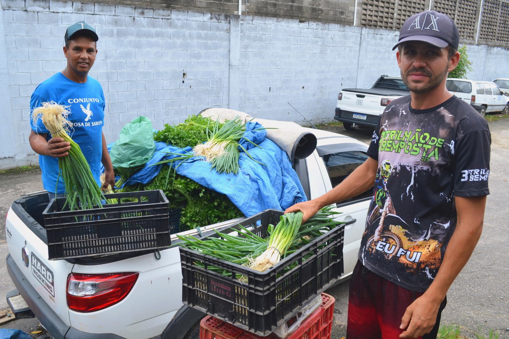 Agricultores familiares que vendem para o Programa Alimenta Brasil