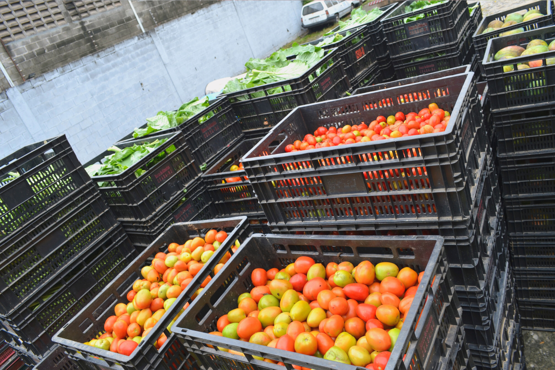 Produtos adquiridos através do programa