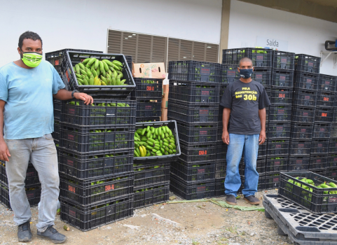 Agricultores familiares