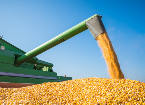 Nova Parceria Ceasa e UniCesumar