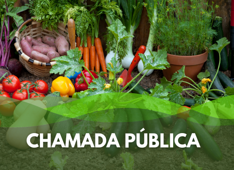 Chamada Pública