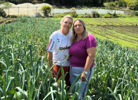 O Dia Internacional das Mulheres Rurais, celebrado em 15 de outubro, homenageia as mulheres que desempenham um papel fundamental na produção de alimentos. 