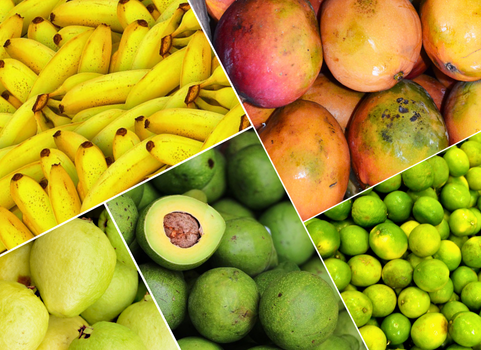 Brasil amplia produção e exportação de frutas em 2025