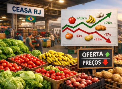Ceasa/RJ registra aumento de oferta e variações de preços na semana