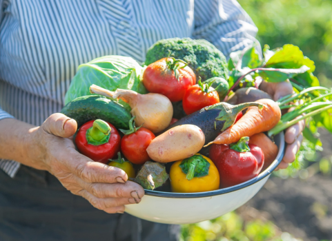 Força-Tarefa conclui documentos constitutivos da Aliança Global contra a Fome e a Pobreza