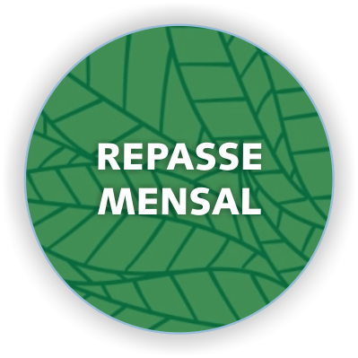 REPASSE MENSAL icms ECOLÓGICO